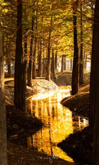 Open Wan'nan Fengshen's autumn sunrise in full screen