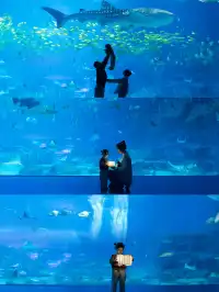 2歲寶寶,珠海長隆2天1晚遊玩攻略