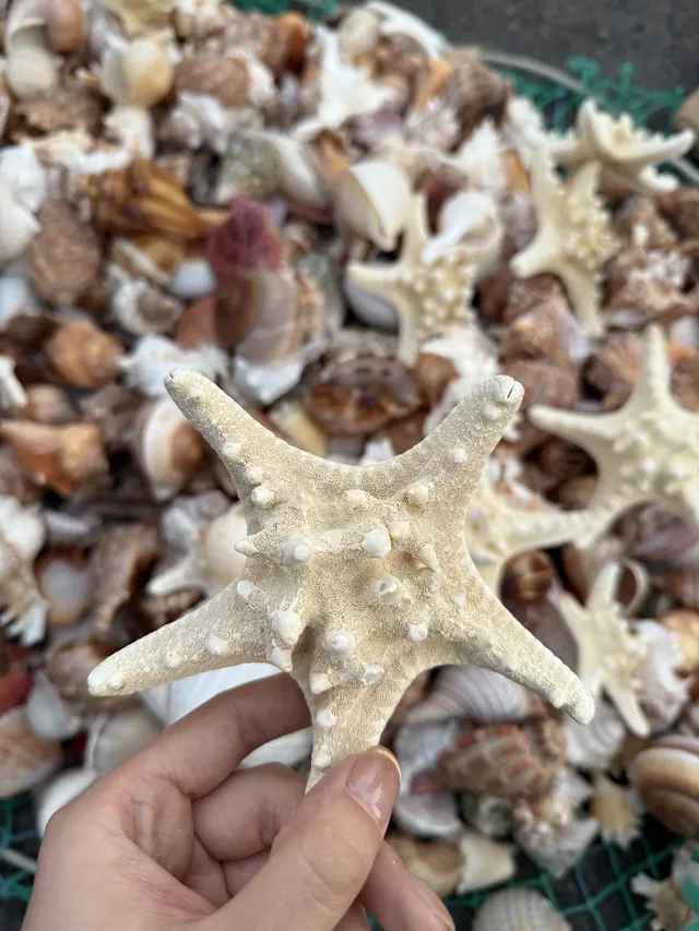 8小時中轉!極限速通青島(聖誕版 8小時中轉!極限速通青島(聖誕版