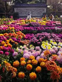 重慶寶藏地，0元闖進秋日禪意天堂