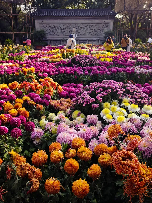 重慶寶藏地，0元闖進秋日禪意天堂