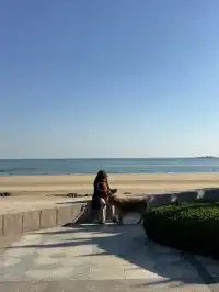 漫步青島|分享超美的一日sea walk路線