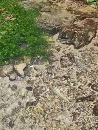 張家界24h|從仙境跌入千年非遺夜宴