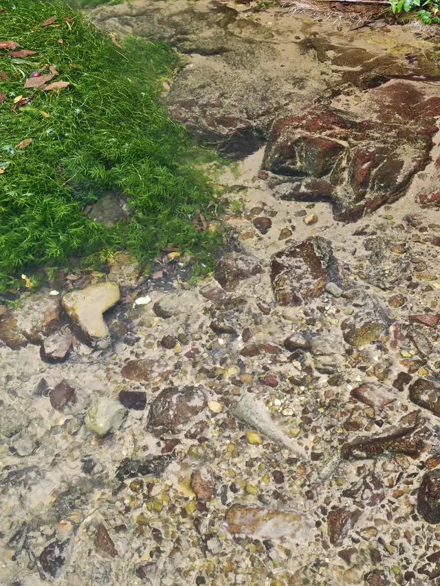 張家界24h|從仙境跌入千年非遺夜宴 張家界24h|從仙境跌入千年非遺夜宴