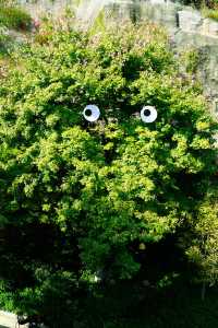 逃離城市喧囂廈門這條山海步道真的封神了