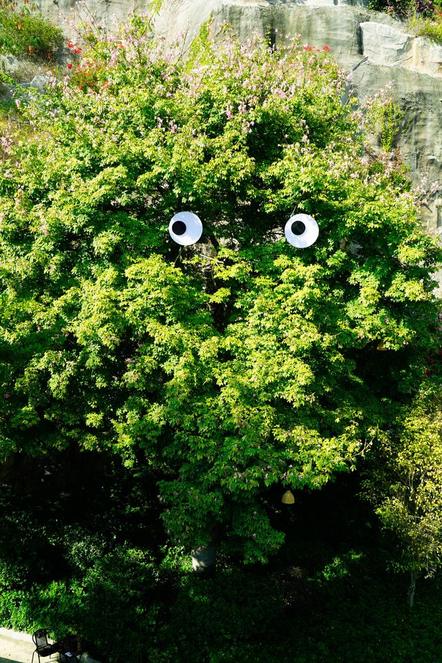 逃離城市喧囂廈門這條山海步道真的封神了