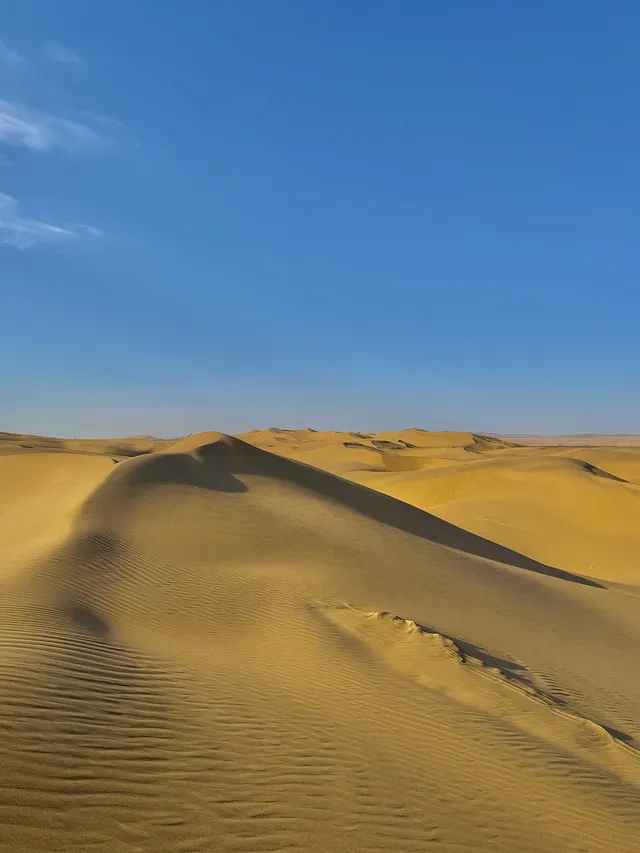 烏海湖反轉之旅！200元解鎖沙漠+冰湖雙重驚