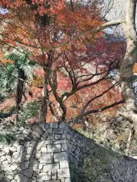 週末玩轉湖州莫干山 and 下渚湖濕地公園