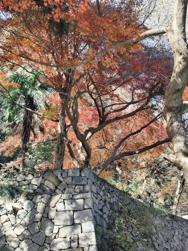 週末玩轉湖州莫干山 and 下渚湖濕地公園