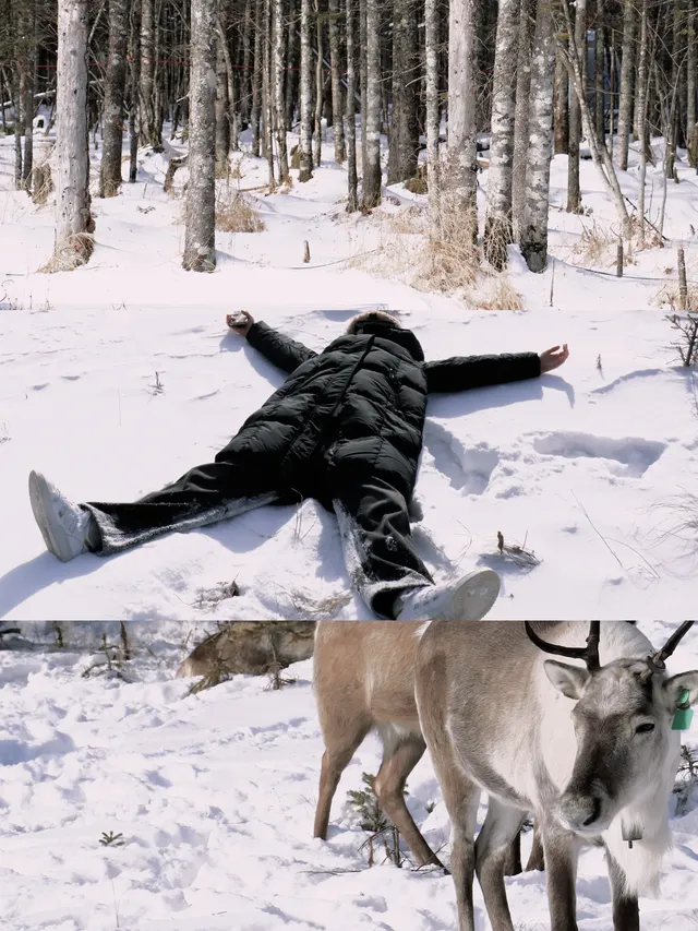 一日速通老里克湖&長白山北坡攻略