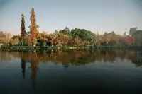 獨自旅行| 7天6晚,在雲南