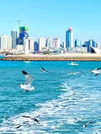 海鷗與溫泉相伴 青島冬遊指南（12-1月版）