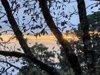 宮崎駿同款天空之城!我在哀牢山找到了神仙民宿