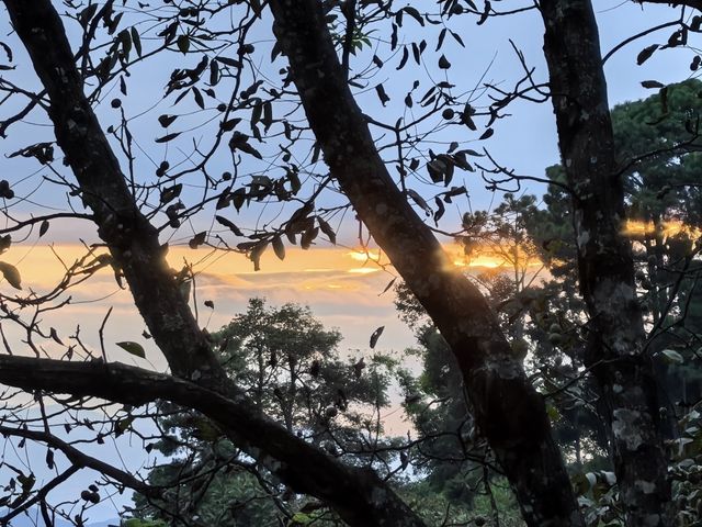 宮崎駿同款天空之城!我在哀牢山找到了神仙民宿 宮崎駿同款天空之城!我在哀牢山找到了神仙民宿