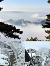 姐妹們!剛從黃山回來,馬上來交作業了