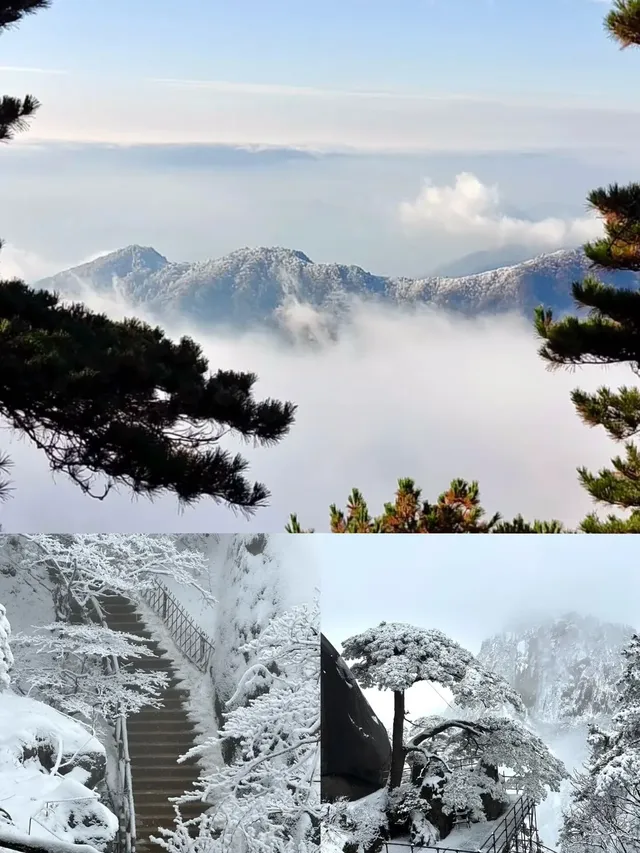 姐妹們!剛從黃山回來,馬上來交作業了 姐妹們!剛從黃山回來,馬上來交作業了