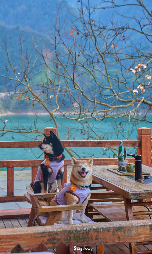 郴州資興|在森林裡遇見了東江湖晨霧 郴州資興|在森林裡遇見了東江湖晨霧