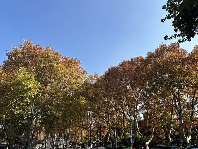 南京博物院 南京博物院