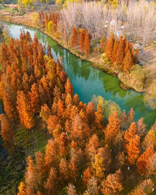 The people of Xiangyang really keep their mouths shut—December in Xiangyang is surprisingly this beautiful