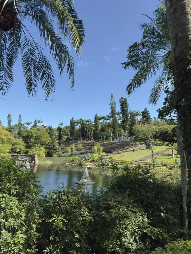 沖縄｜東南植物楽園散策ガイド｜幻想的なオアシス探検