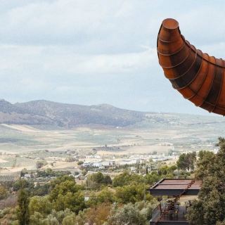 Find the marks of Andalusia in the olive groves of Ronda.