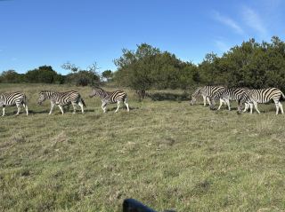 ในที่สุดก็มีคนอธิบายวิธีการเดินทางในแอฟริกาใต้ได้อย่างชัดเจนเสียที