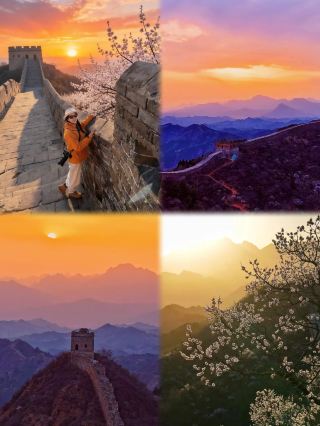 金山嶺長城、十万畝の花海の中で絶美な夕日を追いかける