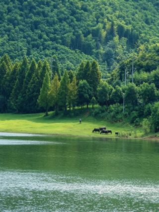 Zhejiang's Hidden Secret Spots｜Stop Crowding Xinjiang and Western Sichuan