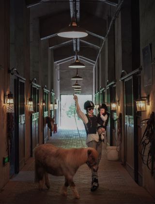 Be a little knight for a day, paint a springtime picture