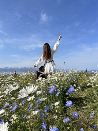 Captured 15 life photos at Sayram Lake! Travel guide included