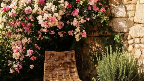 Nestled in the Renaissance old town: a deep-dive summer guide to Florence — traveler post in Lucca