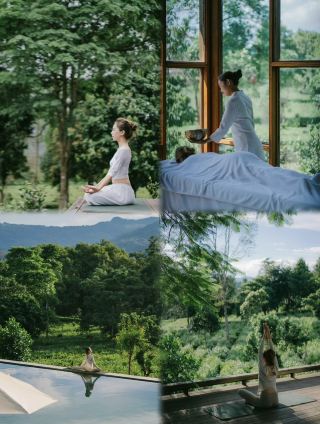 ทัวร์ส่วนตัวสุดหรูบนยอดเขาจิงหม่าย ไป่เหลียน | สุดยอดรีสอร์ทชาบนเขาระดับไฮเอนด์