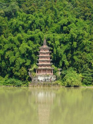The ruined beauty of an abandoned attraction, 108 pagodas swallowed by moss