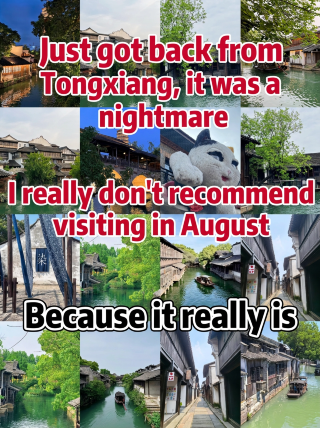 Just got back from Tongxiang, really don’t recommend going in August because it’s just…
