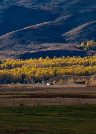 I'd call this the ultimate scenery for golden September~