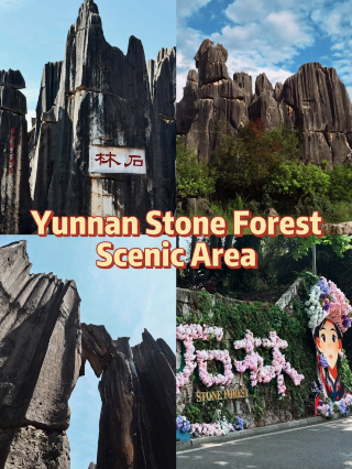 Step into a 270-million-year-old stone maze! The ultimate guide to the Stone Forest in Yunnan