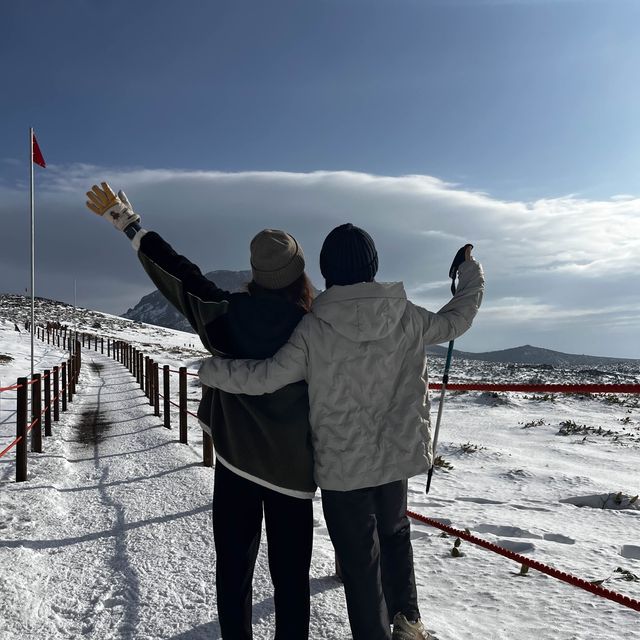 한라산의 꽃☃️❄️ 겨울의 영실코스⛰️