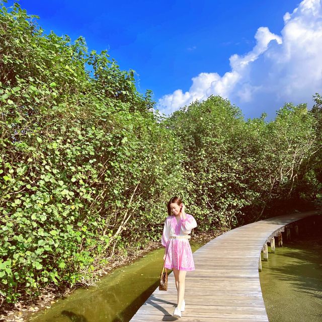 香港都有紅葉？🍂🍂🍂天水圍濕地公園🌳