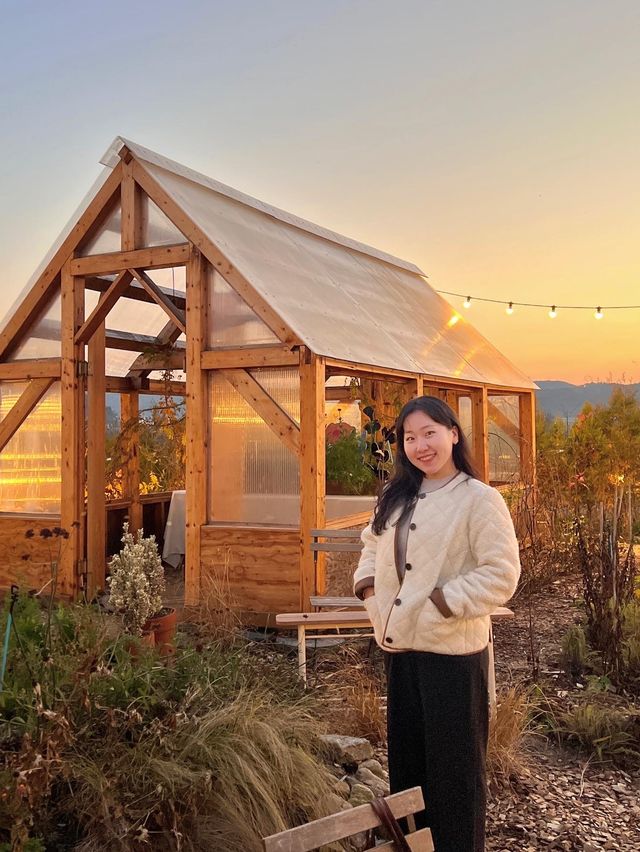 야외 오두막이 감성적인 뷰좋은카페, 감자밭