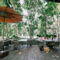 คาเฟ่ลับใน ม.มหิดล ศาลายา