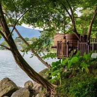 Treepod 