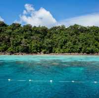 เกาะสุรินทร์ จ.พังงา ทะเลใส ใต้น้ำสวย