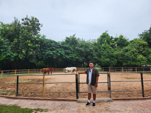 Horseback Riding