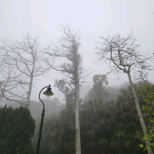 山頂公園 - 夢幻的英式花園