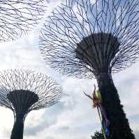 สวนขนาดยักษ์ที่สิงคโปร์ Gardens by the bay