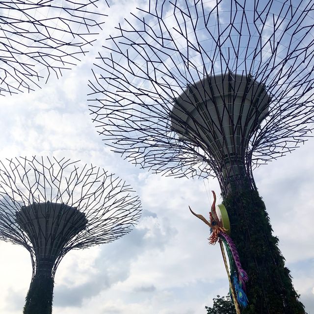 สวนขนาดยักษ์ที่สิงคโปร์ Gardens by the bay