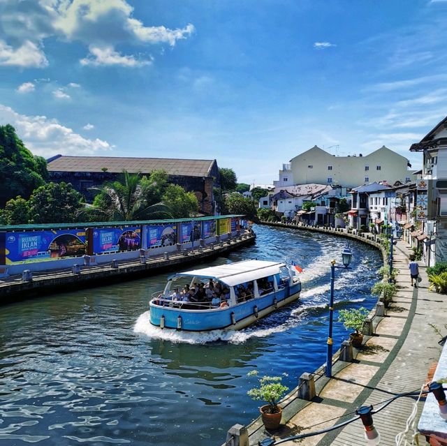 The fascinating river cruise! 🌊🚢