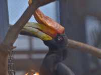 TDL近く無料動物園「江戸川区自然動物園」