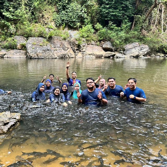 Tasik Kenyir: Escape to Nature