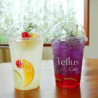 Tellus Cafe Khaoyai วิวป่าสนต่างประเทศ